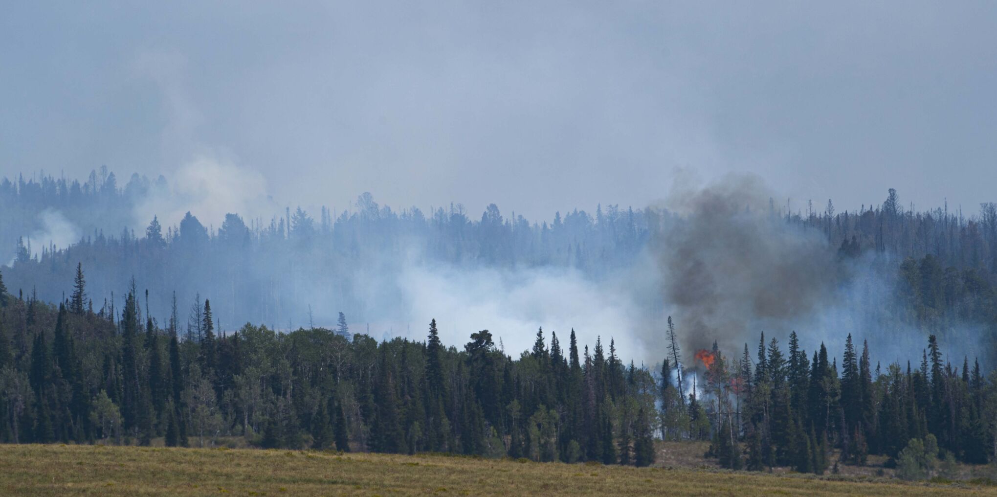 082320-news-fires 2.jpg